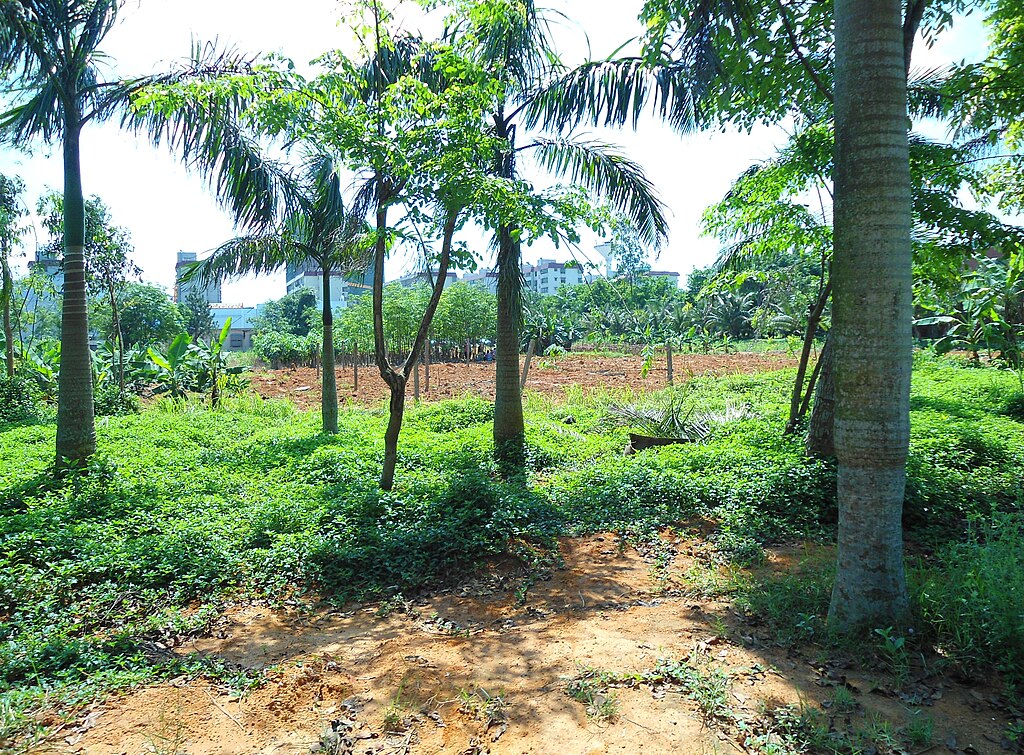 					View Vol. 1 No. 1 (2025): test issue
				